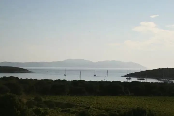 croatie-vineyard-pakleni-islands-uai-720x480