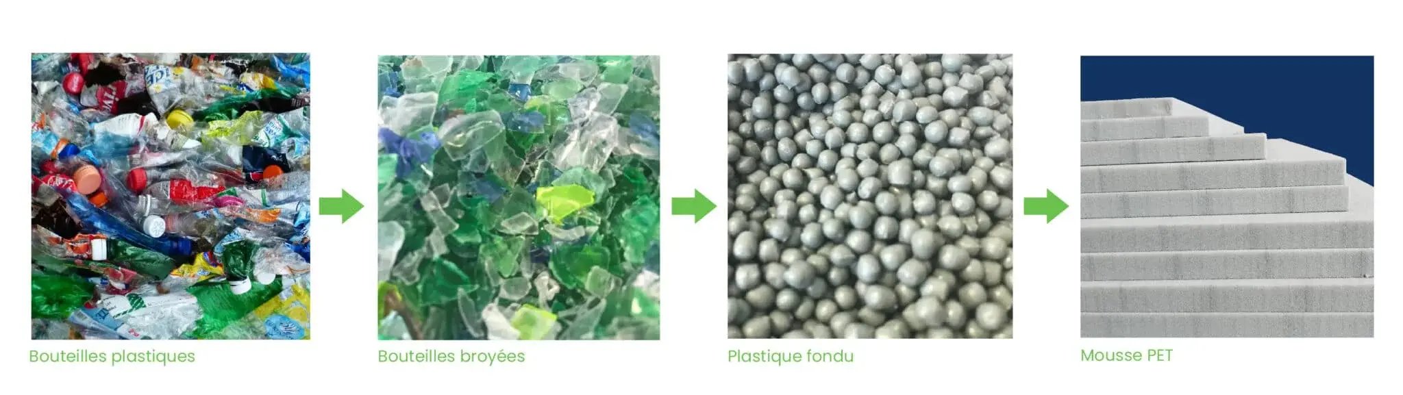 montage-pet-2-scaled-1