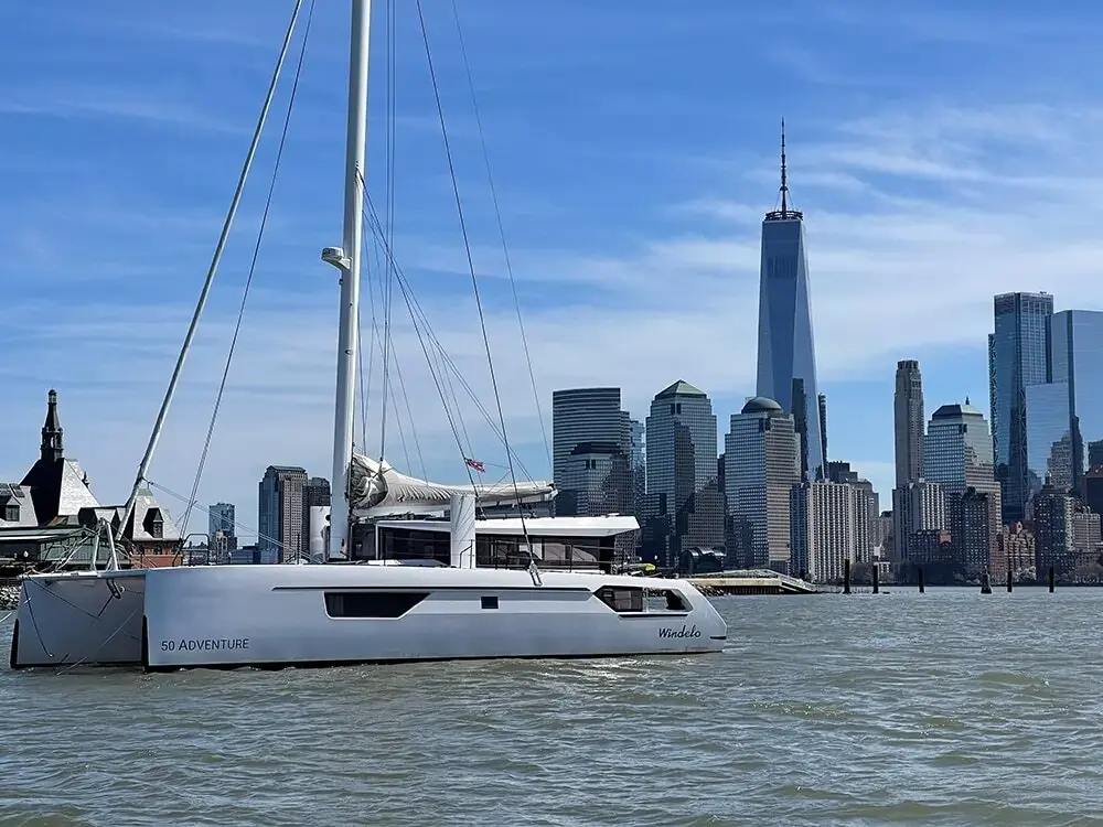 Hakuna Matata : Carte Postale De Son Aventure